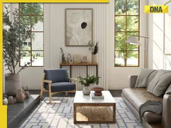 Asterlane Ventures into Carpet Manufacturing: Blending Tradition and Modernity Through E-commerce