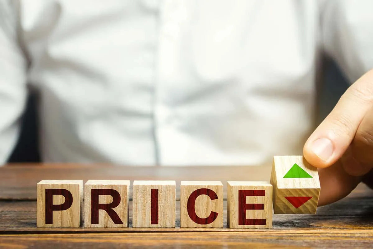 Price Prevails: Understanding the Impact of Cost on Consumer Subscription Choices