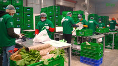 The Rise and Fall of Otipy: What Went Wrong in the Fresh Produce Startup