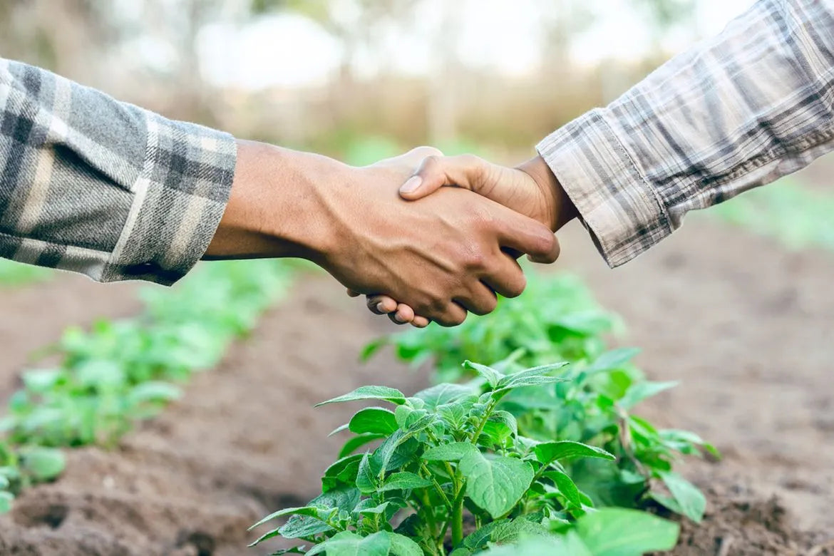 Ecommpay and ekko Join Forces to Drive Sustainable E-Commerce