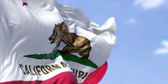 California's SB 690: A Potential Turning Point for Website Privacy Lawsuits