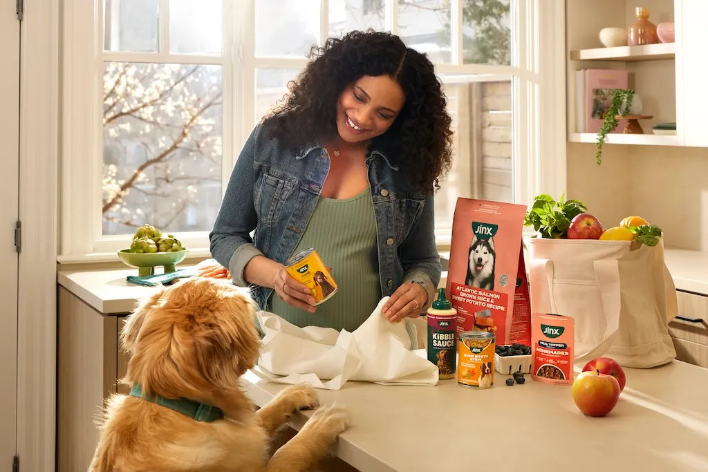 Jinx Pet Food: A Rising Star in the Pet Industry Set to Surpass $100 Million in Revenue