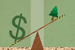 The Amazon Soy Moratorium: A Critical Line of Defense Against Deforestation