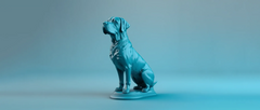 The Ultimate Guide to Starting a Dog Grooming Business: From Passion to Profit