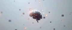 Transforming Ecommerce: 10 Practical Applications of AI for Businesses