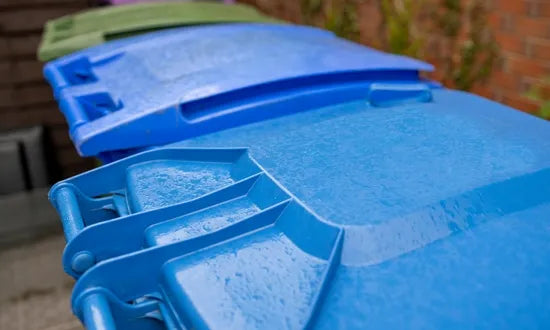 Understanding Consumer Attitudes Toward Recycling: Insights from a Cross-National Survey